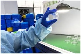 Why Cosmetics Packaging Inspection Is the Secret to Flawless Products: Lessons from China Inspection Services